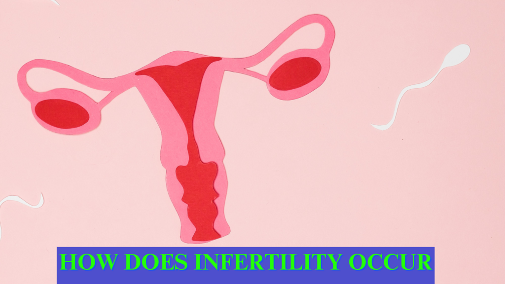 HOW DOES INFERTILITY OCCUR